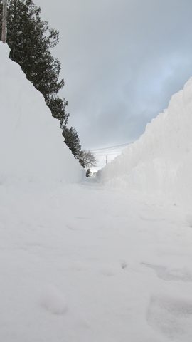 Photo from Snowshoe camping, Bruce National Peninsula Park