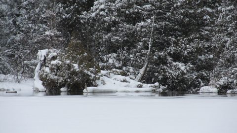 Photo from Snowshoe camping, Bruce National Peninsula Park