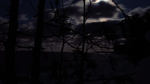 Photo from Snowshoe camping, Bruce National Peninsula Park