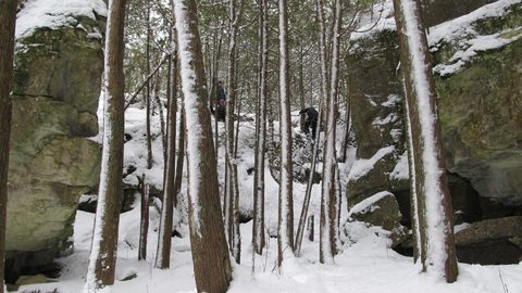 Photo from Snowshoe camping, Bruce National Peninsula Park