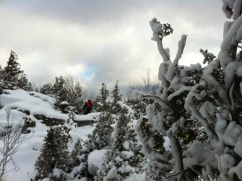 Photo from Snowshoe camping, Bruce National Peninsula Park