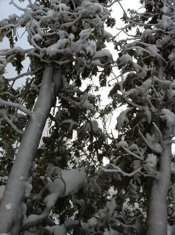 Photo from Snowshoe camping, Bruce National Peninsula Park