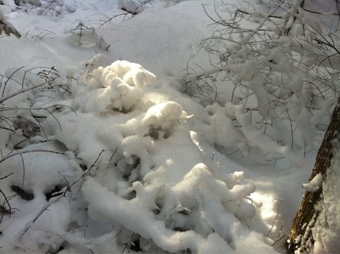 Photo from Snowshoe camping, Bruce National Peninsula Park