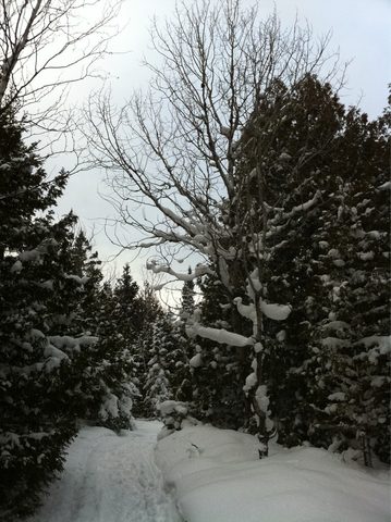 Photo from Snowshoe camping, Bruce National Peninsula Park