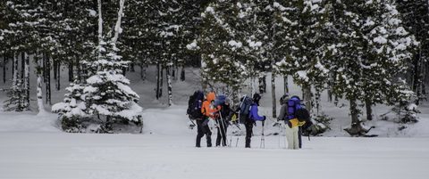 Photo from Snowshoe camping, Bruce National Peninsula Park