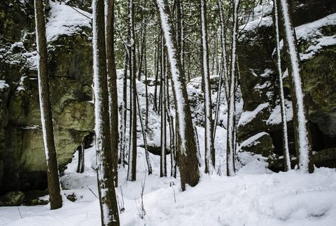 Photo from Snowshoe camping, Bruce National Peninsula Park