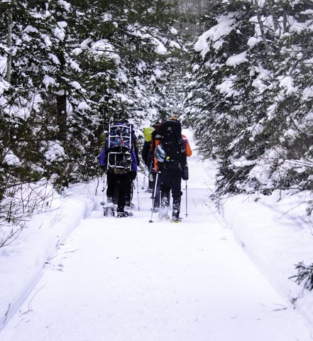 Photo from Snowshoe camping, Bruce National Peninsula Park