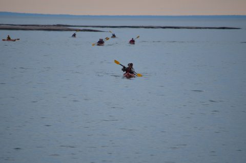 Photo from Sea Kayaking, Phillip Edward Island, Killarney