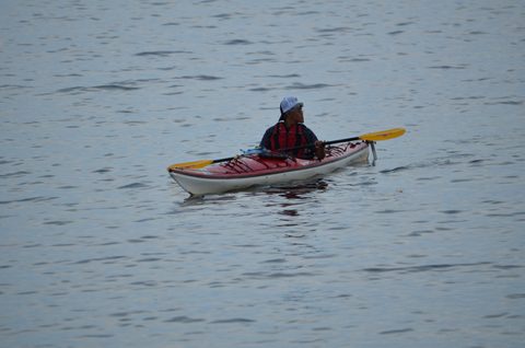 Photo from Sea Kayaking, Phillip Edward Island, Killarney