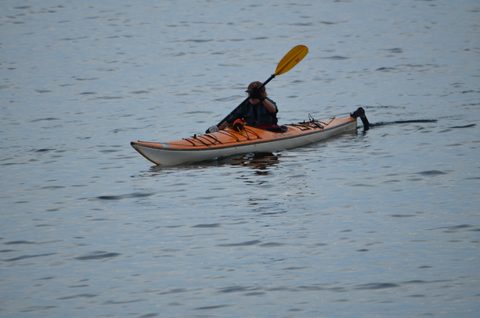 Photo from Sea Kayaking, Phillip Edward Island, Killarney