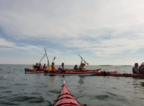 Photo from Sea Kayaking, Phillip Edward Island, Killarney