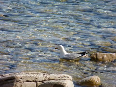 Photo from Sea Kayaking, Bruce Peninsula National Park, through paddle