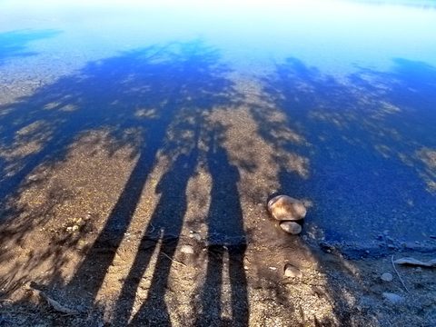 Photo from Sea Kayaking, Bruce Peninsula National Park, through paddle