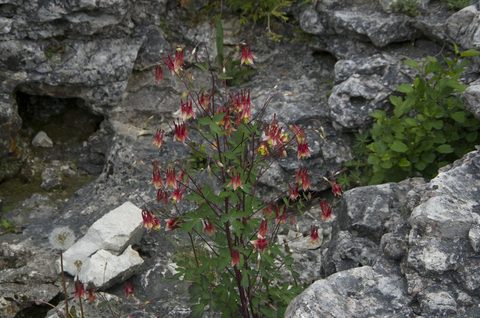 Photo from Sea Kayaking, Bruce Peninsula National Park, through paddle