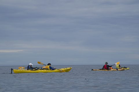 Photo from Sea Kayaking, Bruce Peninsula National Park, through paddle