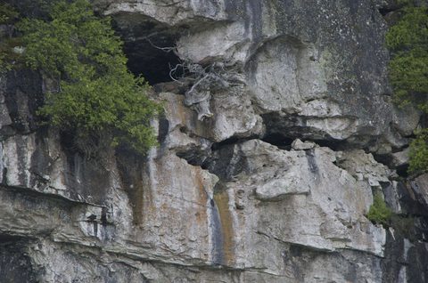Photo from Sea Kayaking, Bruce Peninsula National Park, through paddle