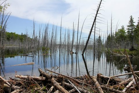 Photo from Sea Kayaking, Bruce Peninsula National Park, through paddle