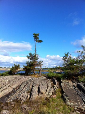 Photo from Sea Kayaking, Franklin, Mink and McCoy Island chains