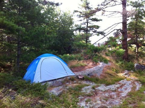 Photo from Sea Kayaking, Franklin, Mink and McCoy Island chains