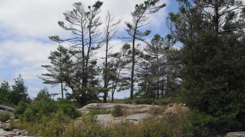 Photo from Sea Kayaking, Franklin, Mink and McCoy Island chains