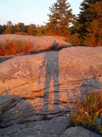 Sunrise at Bustards