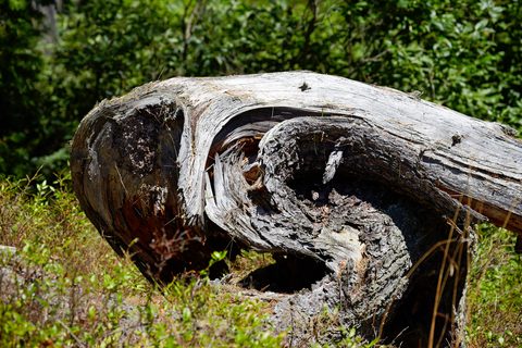 Photo from Sea Kayaking, Bustard Islands via French River