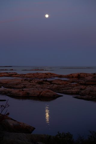 Photo from Sea Kayaking, Bustard Islands via French River