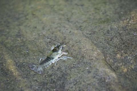 Photo from Sea Kayaking, Bustard Islands via French River