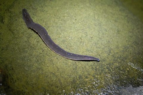 Photo from Sea Kayaking, Bustard Islands via French River