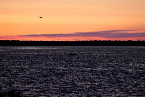 Photo from Sea Kayaking, Bustard Islands via French River