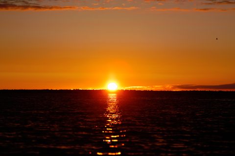 Photo from Sea Kayaking, Bustard Islands via French River