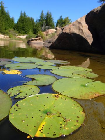 Photo from Sea Kayaking, Bustard Islands via French River