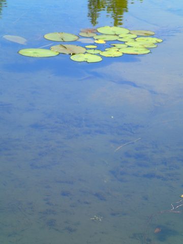 Photo from Sea Kayaking, Bustard Islands via French River