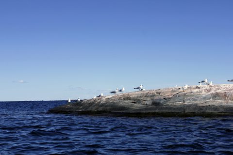 Photo from Sea Kayaking, Bustard Islands via French River