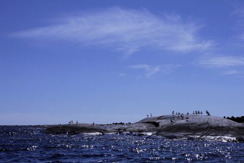 Photo from Sea Kayaking, Bustard Islands via French River