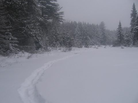 Photo from Reimagining Beringia, mode of travel? Ice age.