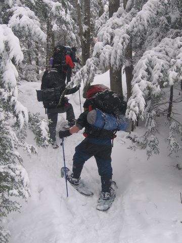 Photo from Reimagining Beringia, mode of travel? Ice age.