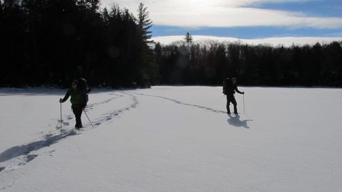 Photo from Reimagining Beringia, mode of travel? Ice age.