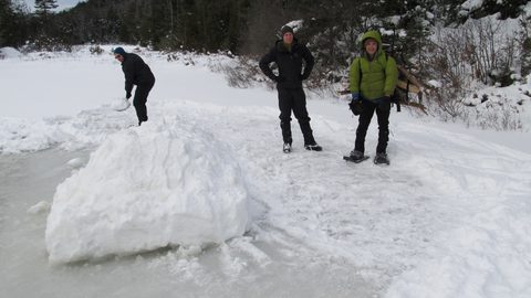 Photo from Reimagining Beringia, mode of travel? Ice age.