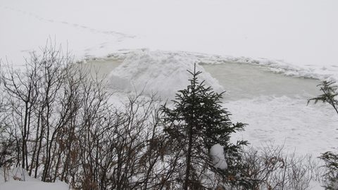 Photo from Reimagining Beringia, mode of travel? Ice age.