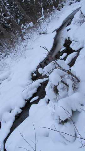 Photo from Reimagining Beringia, mode of travel? Ice age.