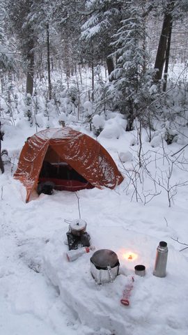 Photo from Reimagining Beringia, mode of travel? Ice age.