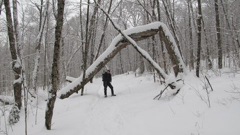 Photo from Reimagining Beringia, mode of travel? Ice age.