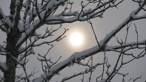 Photo from Reimagining Beringia, mode of travel? Ice age.
