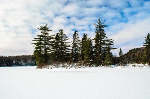Photo from Reimagining Beringia, mode of travel? Ice age.