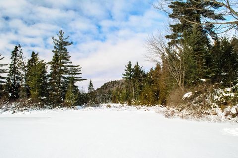 Photo from Reimagining Beringia, mode of travel? Ice age.
