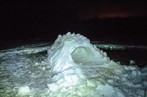 Photo from Reimagining Beringia, mode of travel? Ice age.
