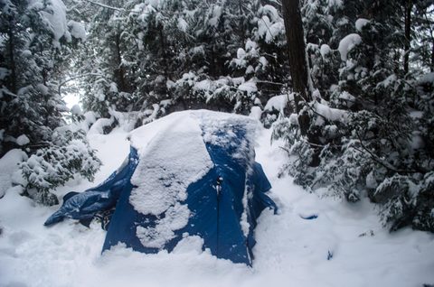 Photo from Reimagining Beringia, mode of travel? Ice age.