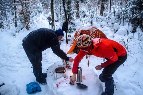 Photo from Reimagining Beringia, mode of travel? Ice age.