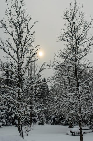 Photo from Reimagining Beringia, mode of travel? Ice age.
